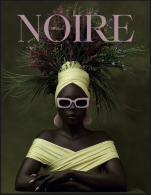 Afrique Noire Magazine